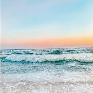 Meet your Posher, Bailey